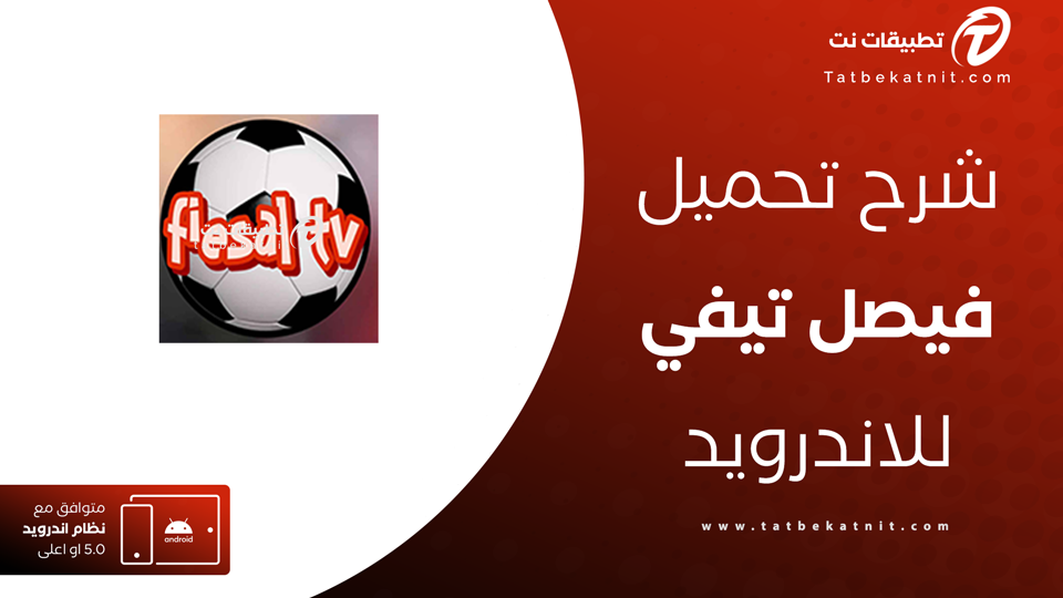 فيصل تيفي