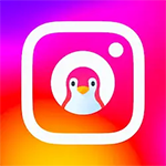 انستقرام البطريق Bt Insta وتحميل انستا البطريق اخر اصدار مجاناً انستقرام البطريق Bt Insta وتحميل انستا البطريق اخر اصدار مجاناً